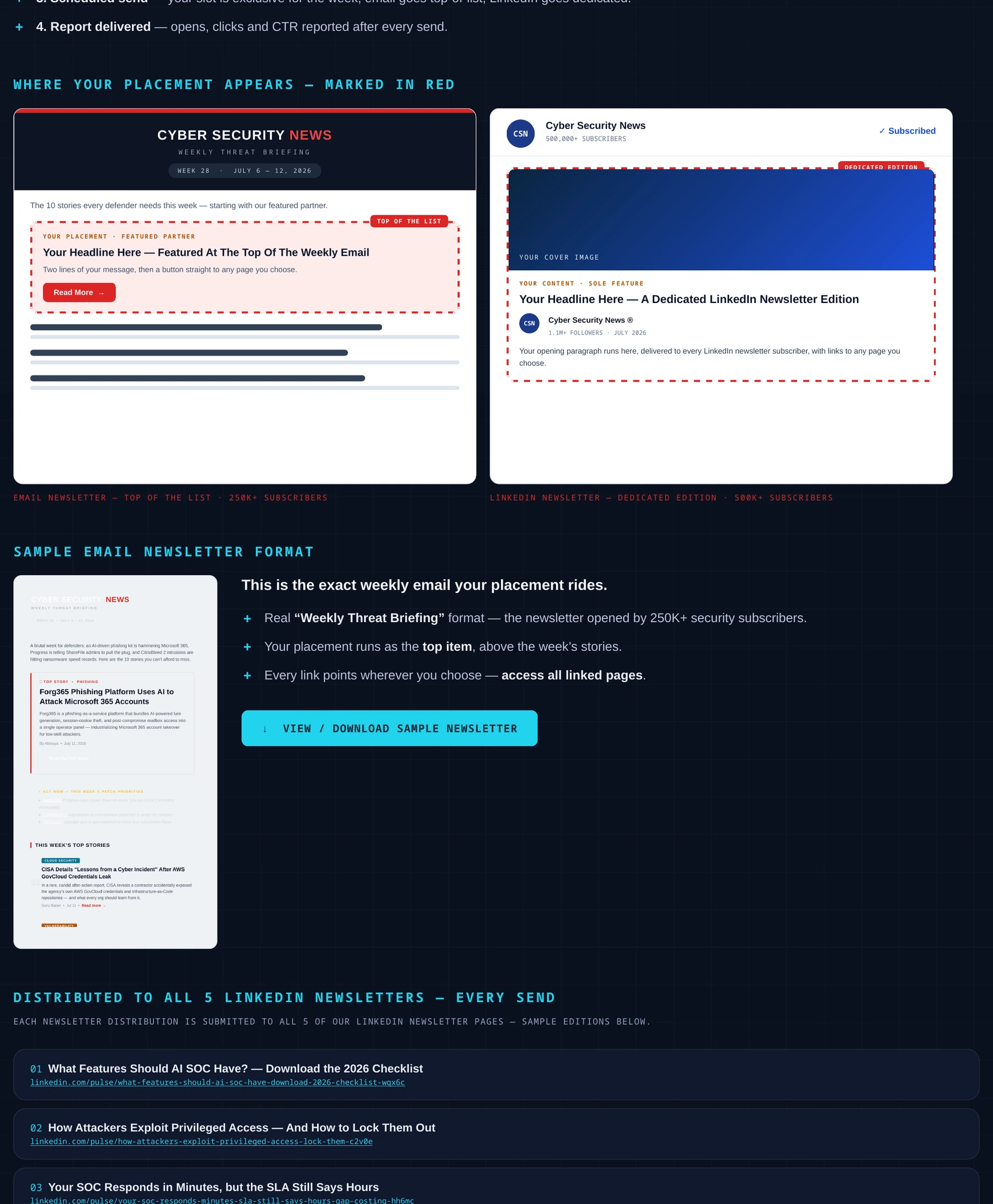 Newsletter Placement campaign placement example from the Cyber Works Research 2026 media kit